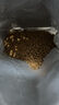 麦富迪猫粮 冻干鲜粮高蛋白成幼猫粮美毛亮毛 三文鱼鸡肉150g 实拍图