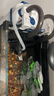 森森（SUNSUN）耀蓝鱼缸壁挂式过滤器外置小型过滤桶净水过滤循环系统YBG-300 实拍图