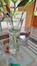 呈爱透明玻璃花瓶简约加高贵竹百合水培绿萝植物富花瓶客厅插花摆件 加高30cm六角（竹叶图案） 高30厘米 实拍图