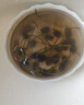 鑫意碗莲种子室内盆栽荷花种子睡莲四季开花水培碗莲花卉种子植物种子 混色开口水培碗莲35粒+营养液 含塑料盆+1支营养液+1包水晶珠 实拍图