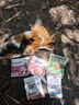 网易严选全价猫粮 宠物主粮幼猫成猫全价粮猫咪食品 深海鱼虾口味50g*2 实拍图