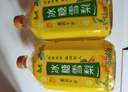 康师傅冰糖雪梨1000ml饮料整箱果味饮料饮品梨味1升装 冰糖雪梨1升*12瓶 实拍图