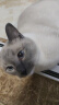 宽福（KUANFU）猫零食罐头鸡丝高汤补水猫罐头成猫幼猫母猫产后85克*15罐 实拍图