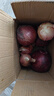 京营【脆甜新鲜】水果洋葱 紫皮小洋葱现挖现发圆洋葱头蔬菜批发 实拍图