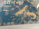 万景北海鲜冻白虾国产白虾 单冻无冰净重4斤 100-120只 海鲜 聚餐食材 实拍图