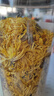 福东海 菊花茶【约100朵完整大花】金丝皇菊胎菊黄山贡菊特茶级花草茶 实拍图