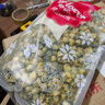 贡苑菊花茶 胎菊250g头采特优级大份实惠装贡菊杭白菊花蕾花草茶叶 实拍图