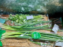 带根香菜100g 实拍图