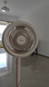 美的（Midea）【清新简约】家用定时空气循环扇摇头立式电风扇轻音节能落地扇宿舍桌面小型风扇空调伴侣FGA24TYR 实拍图