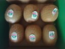 佳沛（zespri）绿奇异果经典果6粒 单果约86-103g   水果猕猴桃  源头直发 实拍图
