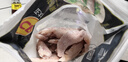 CP正大食品白羽鸡小胸2斤 冷冻生鲜 早餐鸡胸肉里脊肉 实拍图