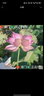 科固（KEGOO）K06044 花洒软管 1.5米不锈钢淋浴喷头莲蓬头防爆防缠绕水管 实拍图