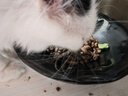 狼孩儿鲜肉磷虾夹心粮猫粮10斤装成猫幼猫英短增肥发腮全阶段全价粮5kg 实拍图