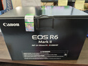 佳能（Canon）EOS R6 Mark II R6二代 新标准全画幅微单相机R62 L级24-105标准镜头套装 实拍图
