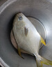 翔泰 海南金鲳鱼净重900g 2条装  鱼类生鲜 烧烤 火锅食材 海鲜水产 实拍图