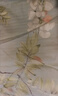 慈云可水洗蚕丝夏凉被 100%天然蚕丝全棉空调被子 150*210cm 紫藤花开 实拍图