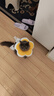 华元宠具（hoopet）猫咪伊丽莎白圈幼猫项圈宠物狗狗圈颈圈脖圈头套犬耻辱圈防舔头罩 实拍图