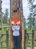 迪卡侬速干运动裤女春秋季针织卫裤瑜伽休闲裤黑色L-2455334 实拍图