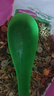 洁西（JESSIE）牧草菁华龙猫粮主食 天然草本果蔬精华龙猫食物主粮饲料2kg 实拍图