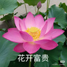 京东京造经典法兰绒毯 1150g空调毯加厚双面沙发午睡盖毯 高级灰1.5x2m 实拍图