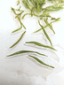乐品乐茶碧螺春绿茶2025新茶明前特级春茶嫩芽茶叶冷泡茶解暑250g送礼品袋 实拍图