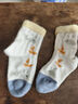 尼多熊儿童袜子夏季透气男童棉袜宝宝网眼袜子卡通松口透气棉袜 5双装 实拍图
