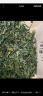 西湖牌绿茶三级雨前浓香龙井茶传统纸包春茶200g自己喝 实拍图