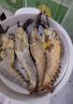 渔传播 鲜活小青龙大龙虾200-250g/只 2只装海鲜 保鲜不保活 源头直发 实拍图