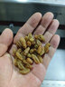绿山情新疆无核葡萄干大颗粒免洗开袋即食独立小包装烘焙官方旗舰店 【大罐装】一级绿葡萄干 500g*2罐 实拍图