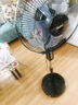 海尔（Haier） 电风扇家用落地扇轻音风扇大风量远距客厅摇头可升降高度定时电扇学生宿舍立式风扇工业扇 【定时遥控】可升降高度HFS-Y3511B 实拍图