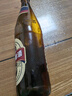 珠江啤酒12.3度 珠江1985啤酒 640ml*12瓶 整箱装 实拍图