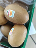 佳沛（zespri）新西兰  阳光金奇异果18粒超大果原箱单果重约173-204g 猕猴桃 实拍图