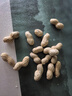 比比赞（BIBIZAN）龙岩花生蒜香味1008g 每日坚果炒货下酒菜小吃办公室休闲零食品 实拍图