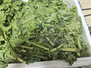 新鲜羽衣甘蓝时令西餐沙拉榨汁果汁健康轻食农家甘蓝 【寿光直发】净重4斤 实拍图