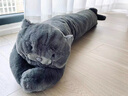 野兽派家居（tbh）懒蓝猫长条抱枕靠垫卧室夹腿办公室抱枕沙发可爱腰枕车载抱枕 实拍图