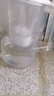 碧然德（BRITA）家用净水壶 滤水壶滤芯 MAXTRA+LE 去水垢专家滤芯 6枚装 实拍图
