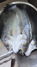 鲜活人生白蕉开背海鲈鱼无水净重500g*2条七星海鲈鱼生鲜深海鱼 实拍图