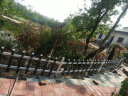 森岳 栅栏 护栏 PVC塑钢花园围栏栅栏花坛草坪护栏 社区幼儿园绿化护栏 墨绿色60厘米 晒单实拍图