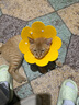 欢宠网伊丽莎白圈猫宠物狗猫咪狗狗绝育软项圈头套脖套防舔防咬脖圈耻辱 实拍图