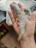 东上御品虾 青岛大虾基围虾鲜活青虾白虾海虾对虾冰虾冻虾生鲜 虾类 海鲜 3斤(净重)  气冻大虾【活虾速冻】 17-21cm【特大虾皇】 实拍图