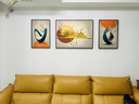 Sixpoetry 客厅装饰画现代简约沙发背景墙壁画轻奢三联晶瓷画大气高档挂画 福禄生机（铝合金外框） 晶瓷画左右40*60+中间80*60亮面 实拍图