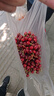 福东海 杜仲皮120g 可泡酒杜仲皮 杜仲茶 老树生杜仲茶杜仲叶片养生茶 实拍图