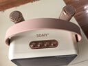 索爱（soaiy）GC520Pro 悬浮歌词蓝牙K歌音箱无线话筒麦克风一体式儿童户外家庭用ktv男女唱歌生日礼物 白 实拍图