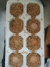 京喜加农家新鲜散养鸡蛋单枚40g正负5g谷饲蛋初生蛋溏心蛋早餐生鲜买菜 8枚 实拍图