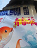 龙王恨鱼饵红虫鲫X5腥香饵料全年四季通用综合野钓鲤青草鱼鲫鱼鱼食饵料 常/高温套餐【共720g/3包】 实拍图