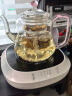 小熊（Bear）迷你电陶炉煮茶炉煮茶器 围炉养生黑茶花茶泡茶蒸茶器不挑器具ZCQ-P12H5 实拍图