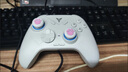 飞智冰原狼2 多模版无线游戏手柄 类xbox霍尔线性扳机switch电脑PC手机steam体感NS双影奇境怪物猎人 实拍图