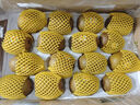 佳沛（zespri）新西兰阳光金奇异果原箱 16粒巨无霸 单果重约202-230g   猕猴桃 实拍图