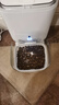 星益生趣（STELLA&CHEWY'S）美国原装进口SC无谷RC冻干涂层全猫粮鸡肉 10lb/4.54kg 效期25.10 实拍图