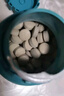 卫仕 宠物乳钙片10片 狗狗钙片泰迪金毛幼犬钙粉大型犬健骨补钙 实拍图